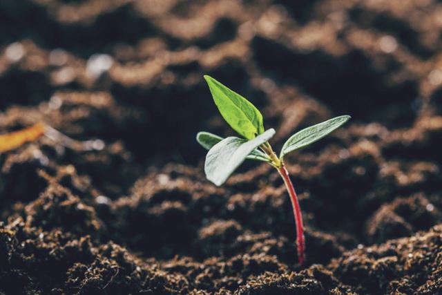 Huhtamaki receives EcoVadis gold medal for sustainability performance in 2021, ranking in the top 5% of 75,000 rated companies around the world