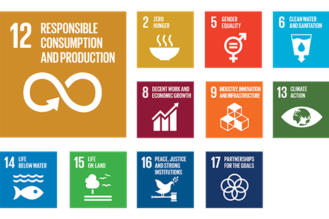 sustainable goals development sustainability
