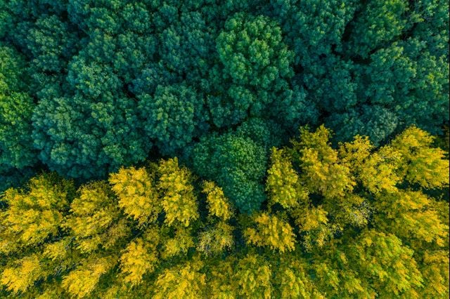 COP16 and beyond: mobilizing business efforts for biodiversity
