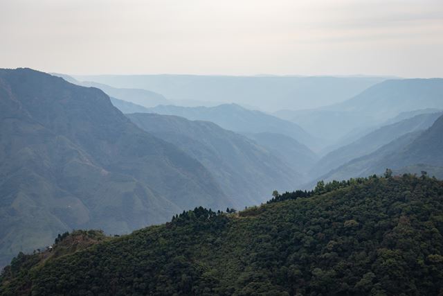 Huhtamaki’s Commitment to Nature: Time to leverage our agenda