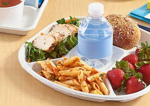 What are Cafeteria Trays Made Out of?